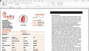 قبض برق ترکیه