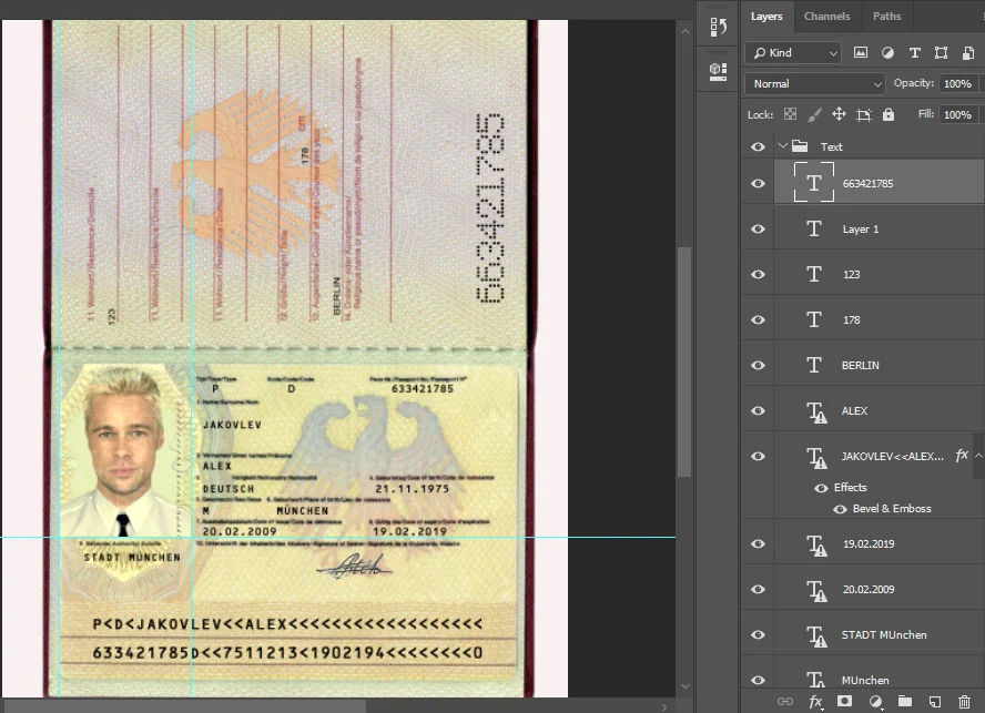 دانلود فایل لایه باز پاسپورت آلمان