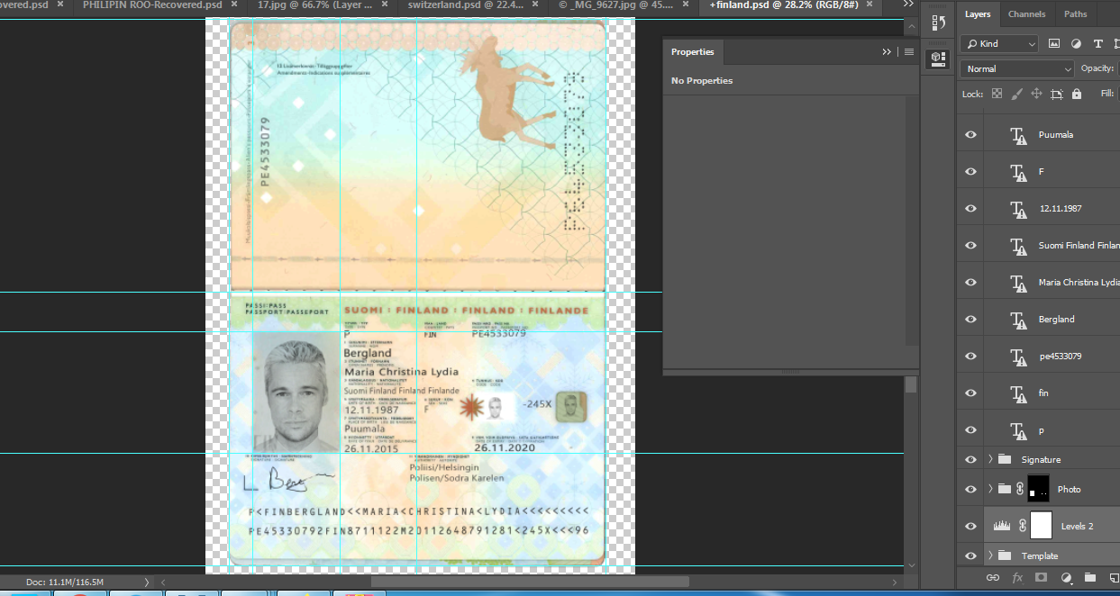 دانلود فایل لایه باز پاسپورت فنلاند