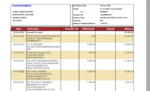 بانک استیتمنت هند